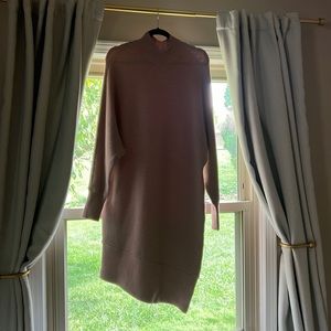 Express Sweater Dress
